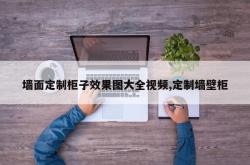 墙面定制柜子效果图大全视频,定制墙壁柜